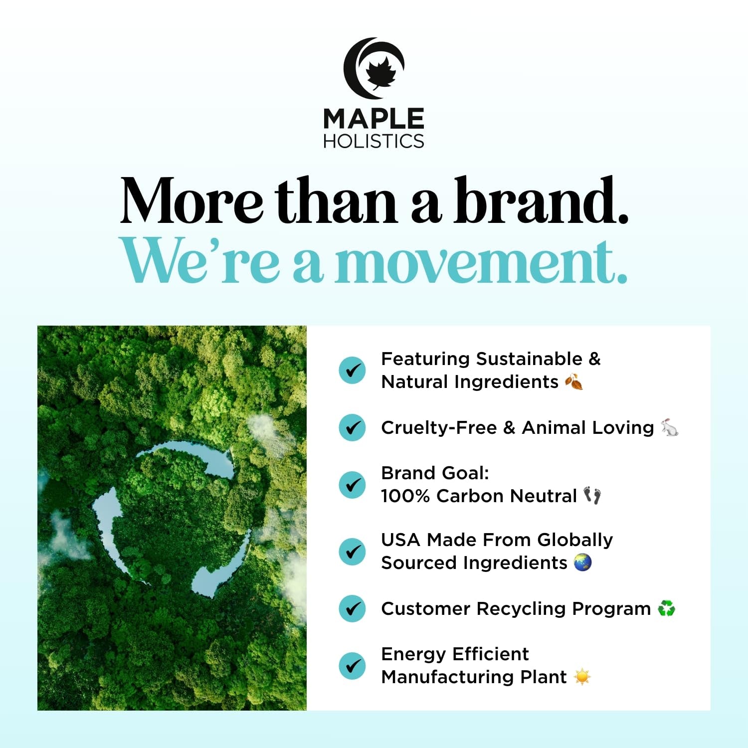 Aromatherapy Peppermint Essential Oil Rollerball - Natural Headache Relief Peppermint Stick with Peppermint Aromatherapy Oil - Natural Peppermint Roll on Essential Oil for Focus and Concentration