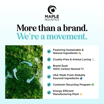 Aromatherapy Peppermint Essential Oil Rollerball - Natural Headache Relief Peppermint Stick with Peppermint Aromatherapy Oil - Natural Peppermint Roll on Essential Oil for Focus and Concentration